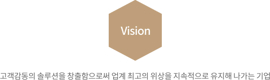 Vision